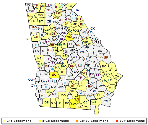 The range of Carya tomentosa